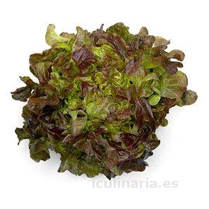 roble | Innova Culinaria